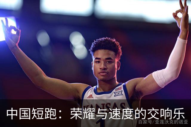 中国短跑：荣耀与速度的交响乐